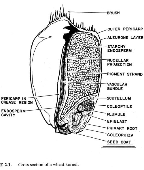 Grain structure - ABC Hansen Africa - Silo