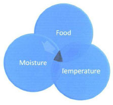 foor moisture temperature diagram - ABC Hansen Africa